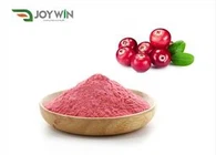 Polvo de jugo de arándano soluble en agua