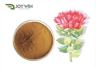 Polvo de extracto de raíz de Rhodiola Rosea