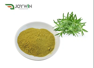 Polvo de hoja de romero